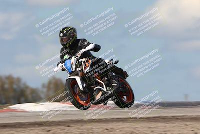 media/Feb-19-2024-Lets Ride (Mon) [[eb90a18fbf]]/Group C/1230pm (Grapevine)/
